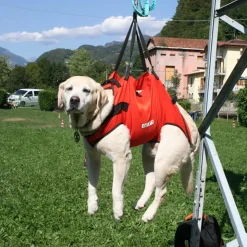 Alp Design Taxi dog harness* Rescue