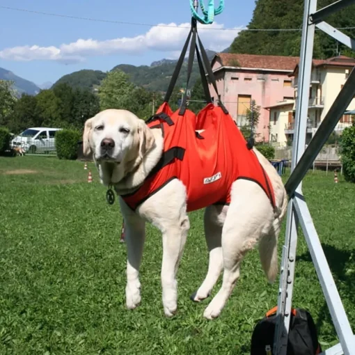 Alp Design Taxi dog harness* Rescue