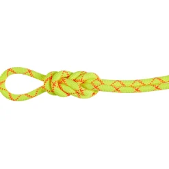Mammut 9.5 Alpine Core Protect Dry climbing rope* Single Ropes