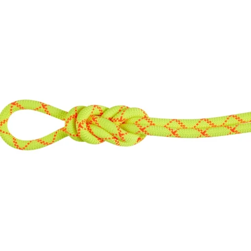 Mammut 9.5 Alpine Core Protect Dry climbing rope* Single Ropes