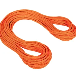 Mammut 9.8 Crag Dry Rope climbing rope* Single Ropes