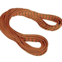 Mammut 9.5 Crag Dry Rope Duodess climbing rope* Single Ropes