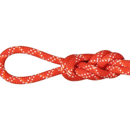 Mammut 9.5 Gym Classic Rope climbing rope* Single Ropes