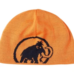 Mammut Logo Beanie* Hats