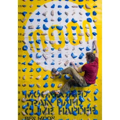 Moon School Holds - Set D 40 climbing holds* Moonboard|Holds