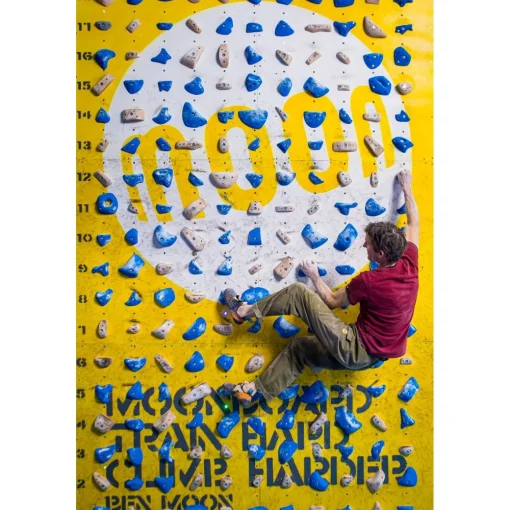 Moon School Holds - Set D 40 climbing holds* Moonboard|Holds