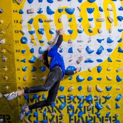 Moon School Holds - Set D 40 climbing holds* Moonboard|Holds