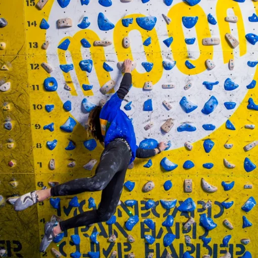 Moon School Holds - Set D 40 climbing holds* Moonboard|Holds