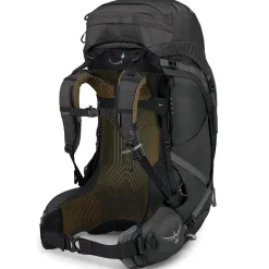 Osprey Atmos AG 65 trekking backpack* Backpacks|Trekking & Camping