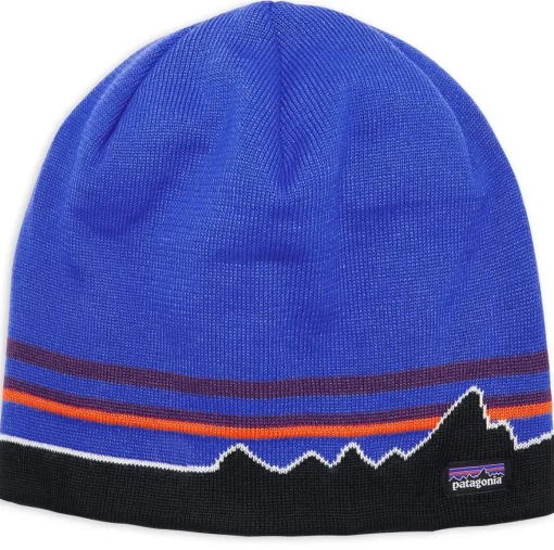 Patagonia Beanie Hat* Hats
