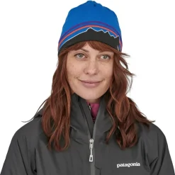 Patagonia Beanie Hat* Hats