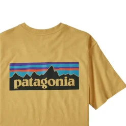 Patagonia M's P-6 Logo Responsibili-Tee men's t-shirt* T-Shirts|Men
