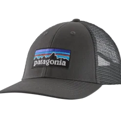 Patagonia P-6 Logo LoPro Trucker Hat* Hats