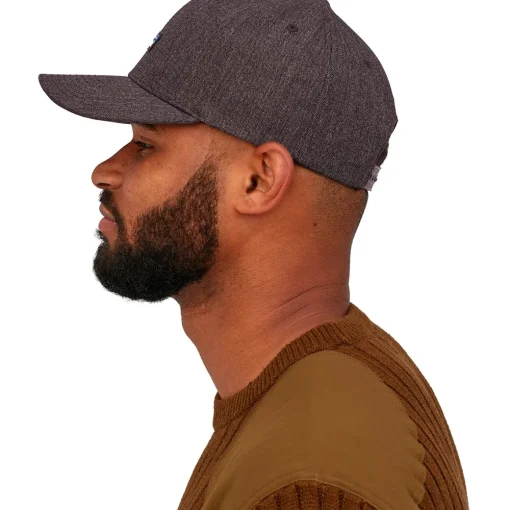 Patagonia Tin Shed P-6 Logo hat* Hats