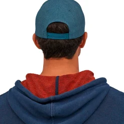 Patagonia Tin Shed P-6 Logo hat* Hats