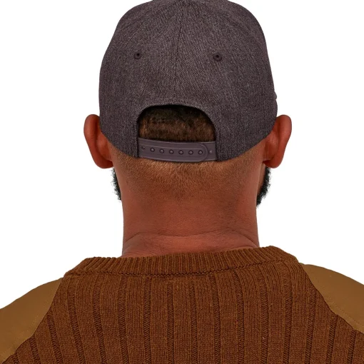 Patagonia Tin Shed P-6 Logo hat* Hats