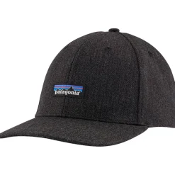 Patagonia Tin Shed P-6 Logo hat* Hats
