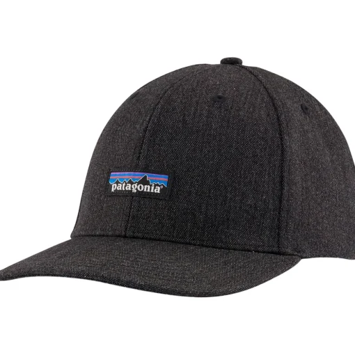 Patagonia Tin Shed P-6 Logo hat* Hats