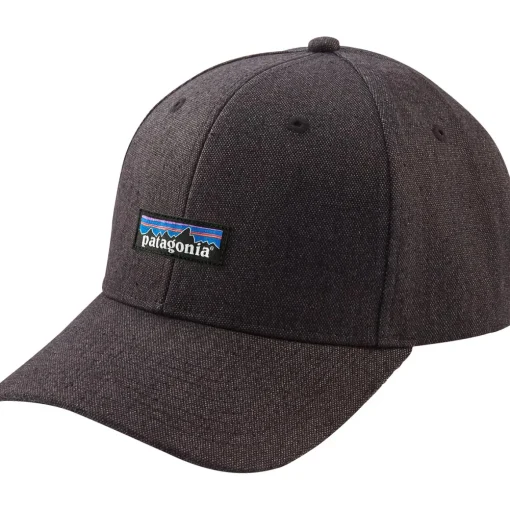 Patagonia Tin Shed P-6 Logo hat* Hats