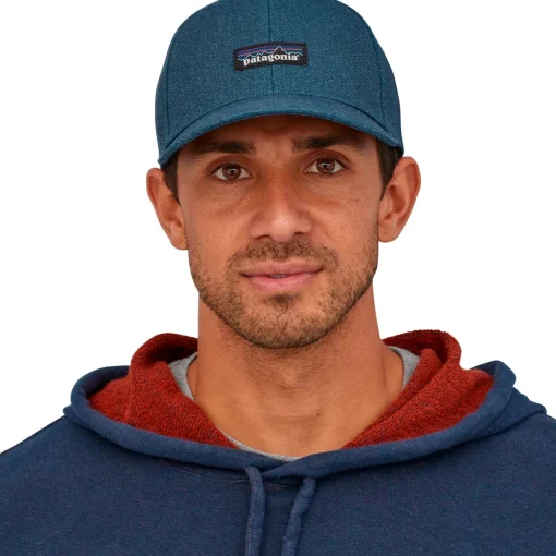 Patagonia Tin Shed P-6 Logo hat* Hats