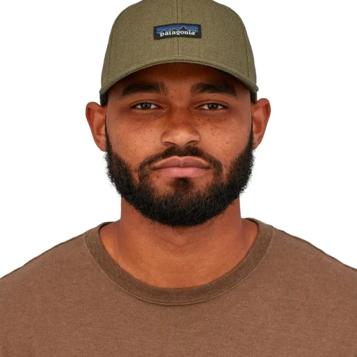 Patagonia Tin Shed P-6 Logo hat* Hats