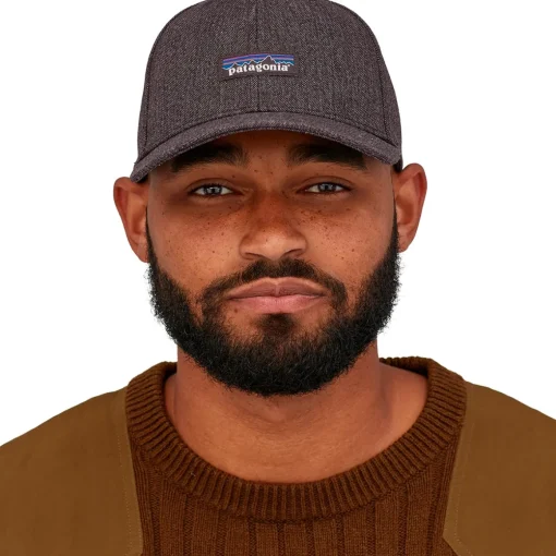 Patagonia Tin Shed P-6 Logo hat* Hats
