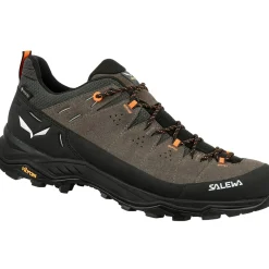SALEWA M's Alp Trainer 2 GTX trekking shoes* Trekking