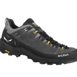 SALEWA M's Alp Trainer 2 GTX trekking shoes* Trekking