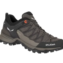 SALEWA W's Mountain Trainer Lite Gore Tex women's trekking shoes* Trekking