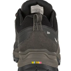 SALEWA W's Mountain Trainer Lite Gore Tex women's trekking shoes* Trekking