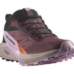 Salomon Sense Ride 5 GTX W women's trail running shoes* Shoes|Running And Trail