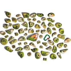 Smog complete set 05 - 70 climbing holds* Holds