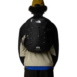 The North Face Borealis Classic 29L backpack* City Backpacks